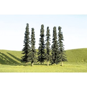 Conifer Trees 3"-4" (9pk)