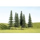 Spruce Trees 3"-4" (9pk)
