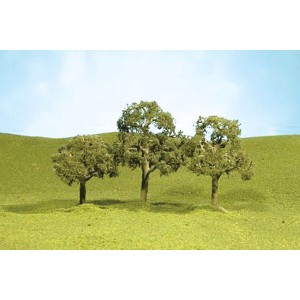 Walnut Trees 2"-2 1/4" (4pk)