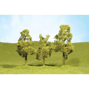 Sycamore Trees 2 1/2"-2 3/4" (4pk)