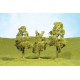 Sycamore Trees 2 1/2"-2 3/4" (4pk)