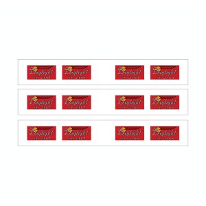 Southern Pacific Daylight Articulated Chair Car Decals