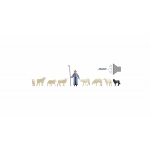 Flock Of Sheep Sound Scene