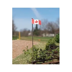 Canadian Flag and Pole (3pk)