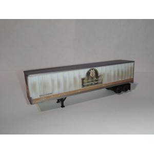 45' Trailer - Southern Pacific 250066 (Weathered)