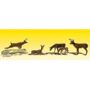 Deer (6pk)