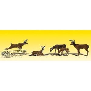 Deer (6pk)